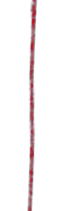 白雪に攫われて